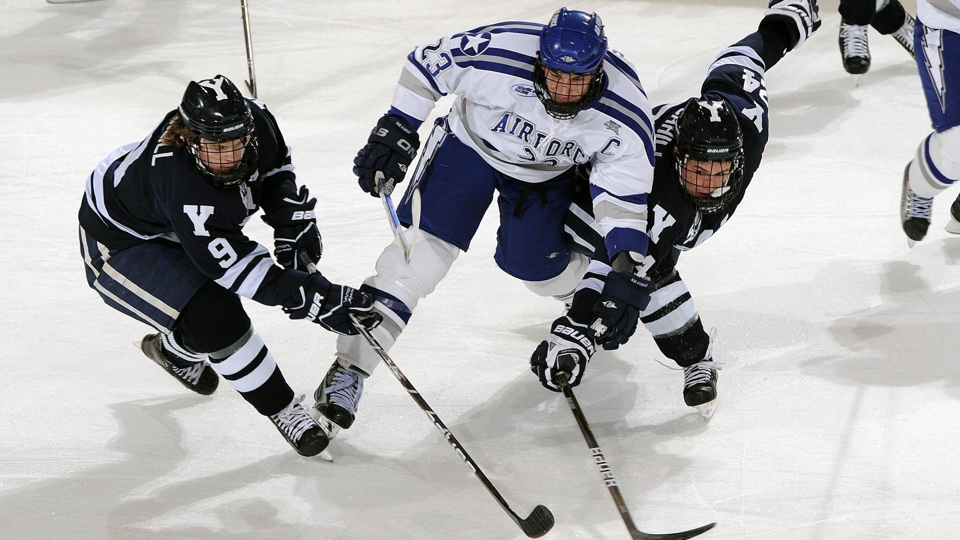 篮网队期待明星归来，未来仍可期，篮网队官宣